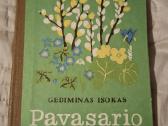 Gyvūnai - nuotraukos Nr. 7