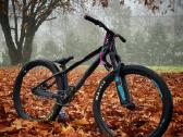 Propain Dirt jump - nuotraukos Nr. 2