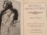 Ponas Tadas - nuotraukos Nr. 2