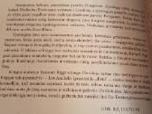 Kiaurymių miestas - nuotraukos Nr. 7