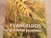 Evangelijos grūdeliai jaunimui
