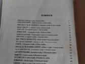 Dainų dainelė '92 - nuotraukos Nr. 6