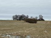 Žemė su sodyba ir mišku Žemalėje 15,5263 ha - nuotraukos Nr. 3