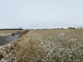Žemė su sodyba ir mišku Žemalėje 15,5263 ha - nuotraukos Nr. 7