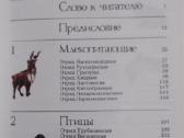 Reti ir nykstantis gyvūnai - nuotraukos Nr. 4