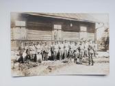 Foto radviliskis