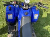 Vaikiškas bendzininis 49 cc keturatis - nuotraukos Nr. 2