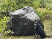 Rinktiniai lauko akmenys, rieduliai , kompozicijos - nuotraukos Nr. 12