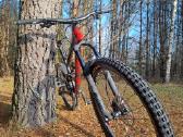 YT Industries Capra AL Comp dviratis - nuotraukos Nr. 2