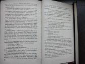 V. Petkevičius. Apie duoną, meilę ir šautuvą. 1974 - nuotraukos Nr. 7
