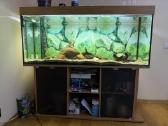 Parduodamas 500 litrų akvariumas su įranga