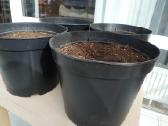 Didelis 40 x 31 molio ir 7vnt plastik.tik 30 Eur - nuotraukos Nr. 6