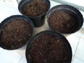 Didelis 40 x 31 molio ir 7vnt plastik.tik 30 Eur - nuotraukos Nr. 7