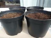 Didelis 40 x 31 molio ir 7vnt plastik.tik 30 Eur - nuotraukos Nr. 8