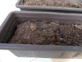 Didelis 40 x 31 molio ir 7vnt plastik.tik 30 Eur - nuotraukos Nr. 10