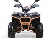 Asix Grizzly 125cc vaikiškas keturratis - nuotraukos Nr. 7