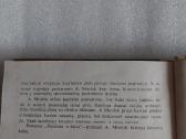 Raudona ir žalia - nuotraukos Nr. 4