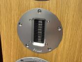 Proac D20r ribbon mapple koloneles - nuotraukos Nr. 34