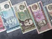 Lietuvos banko sunaikinti litų banknotai