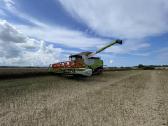 Lexion 670 - nuotraukos Nr. 6