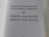 Trokštu, kad Kristui giedotų visa Lietuva - nuotraukos Nr. 2