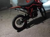Alfarad 300cc a8 - nuotraukos Nr. 4