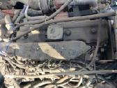 Mtz variklis D 245.30e3 (naujas) - nuotraukos Nr. 2
