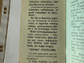 Žmomiškumas ir vergija 1916 - nuotraukos Nr. 5