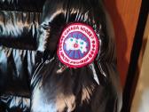 Canada Goose - nuotraukos Nr. 4