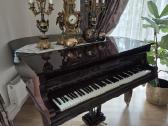 Fortepionas Niendorf Piano-thilemann Neuwied - nuotraukos Nr. 7