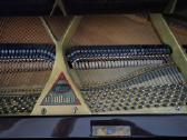 Fortepionas Niendorf Piano-thilemann Neuwied - nuotraukos Nr. 5