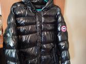 Canada Goose
