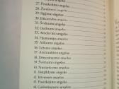 50 angelų metams. Anselm Grun - nuotraukos Nr. 3