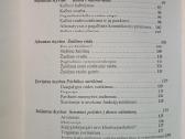 Socialinio darbo su proto negalios vaikais - nuotraukos Nr. 2
