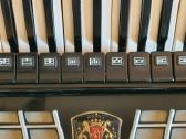 Royal Standard - nuotraukos Nr. 6