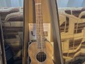 Įvairios gitaros, ukulėlės - nuotraukos Nr. 10