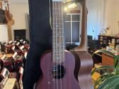 Įvairios gitaros, ukulėlės - nuotraukos Nr. 13