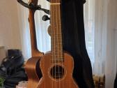 Įvairios gitaros, ukulėlės - nuotraukos Nr. 14