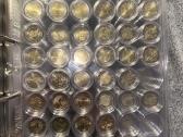 2 Euro monetų kolekcija (516 vnt) - nuotraukos Nr. 15