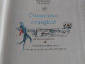 Čiubatuko žvaigždė - nuotraukos Nr. 2
