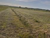 Sklypas Dreverna -Priekulė, 48 arų - nuotraukos Nr. 3