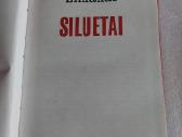Siluetai - nuotraukos Nr. 2