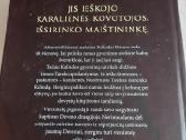 Maištingoji karalienė - nuotraukos Nr. 3