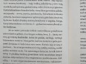 Palaimintos moterys - nuotraukos Nr. 3