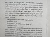 Martynas Pigas - nuotraukos Nr. 2