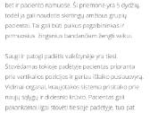 Vaikštynė Activall neįgaliesiems, reabilitacijai. - nuotraukos Nr. 3
