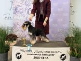 Cvergsnaucerio Patinas atviras kergimui - nuotraukos Nr. 9
