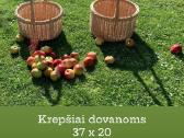 Pinti Krepšiai - nuotraukos Nr. 31