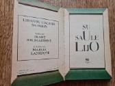 Su saule lijo - nuotraukos Nr. 2