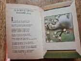 Su saule lijo - nuotraukos Nr. 9